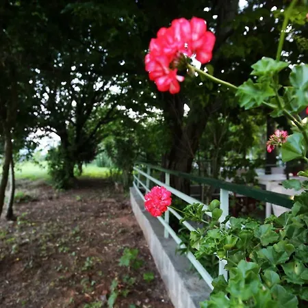 Olympia's Country 度假居